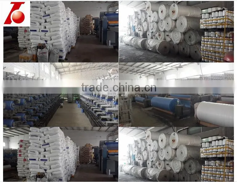 PE/PP Tarpaulin With Eyelets