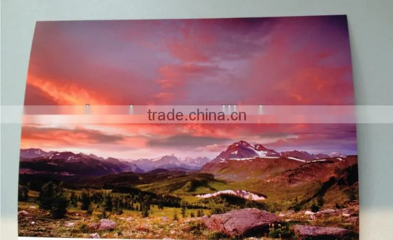 RC Roll Photo Paper waterproof, 240g, 0.203m,0.254mX30.5m,101m