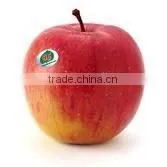 top red apple