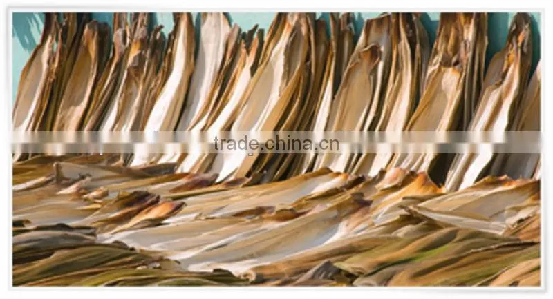 Natural Leaf Plates