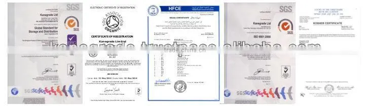 Coenzyme Q10 20% Powder