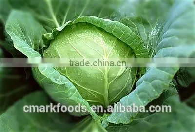 2013 new crop dehydrated Cabbage