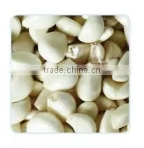 2014 China made sold well stainless steel garlic peeling equipment