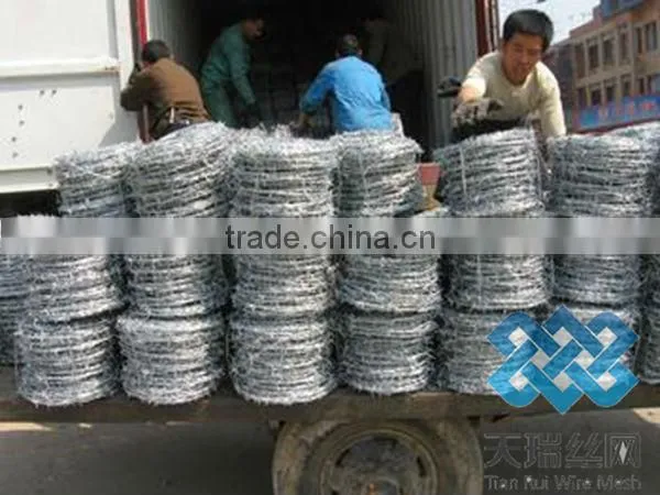 galvanized/pvc coated barbed wire (reverse twist or nromal twist )