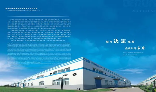 Luoyang De Run Precision Machine Tool Bearings Co., Ltd. (DRZ) company overview - view 1