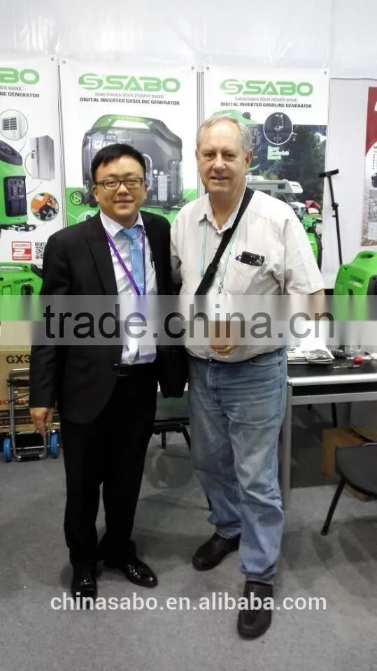 Generator Power From 1kw To 3 KW With CE Approved