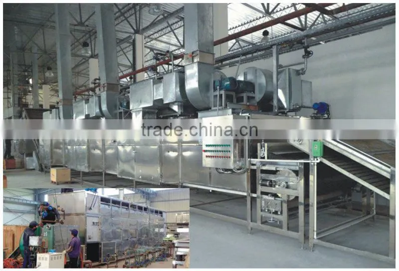 equipment from Guanfeng Food Machinery vegetables drying line