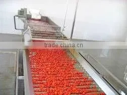 Tomato jam complete production line