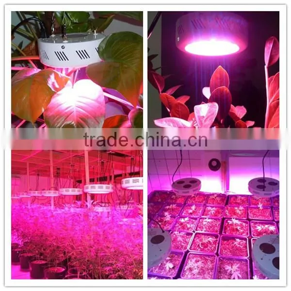 bridgelux epistar multi band 135w led grow lights factories for sale in china