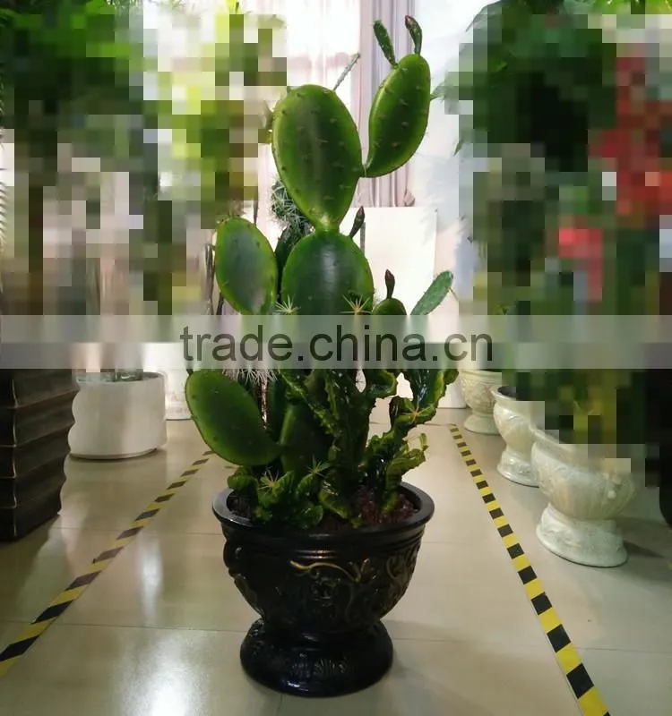 decorative jamaica cactus plant bonsai artificial cactus