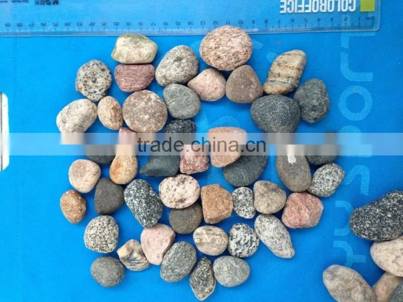 unpolished Natural Mixed Color flat River Pebble Stone