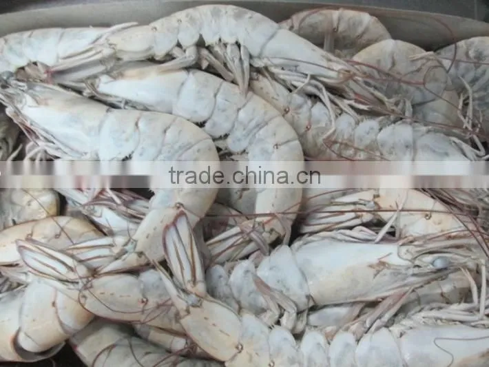 Most Demanded Flavored Vannamei HLSO Shrimps for Sale
