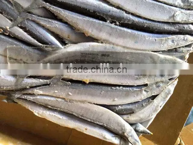 Pacifc saury frozen