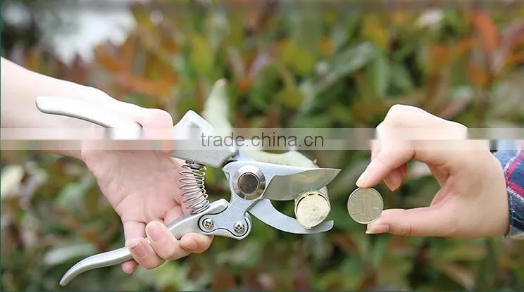 Professional Bypass Pruning Shears - Hand Pruner