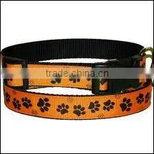 dog collars