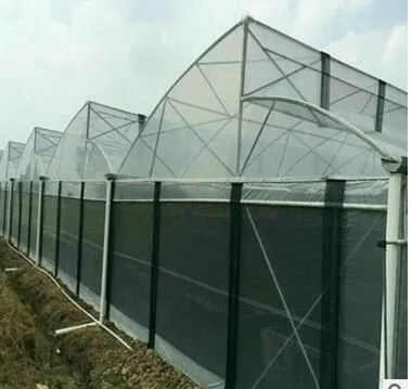 Henan Wisemax Agricultural Technology Co,.Ltd. company overview - view 2
