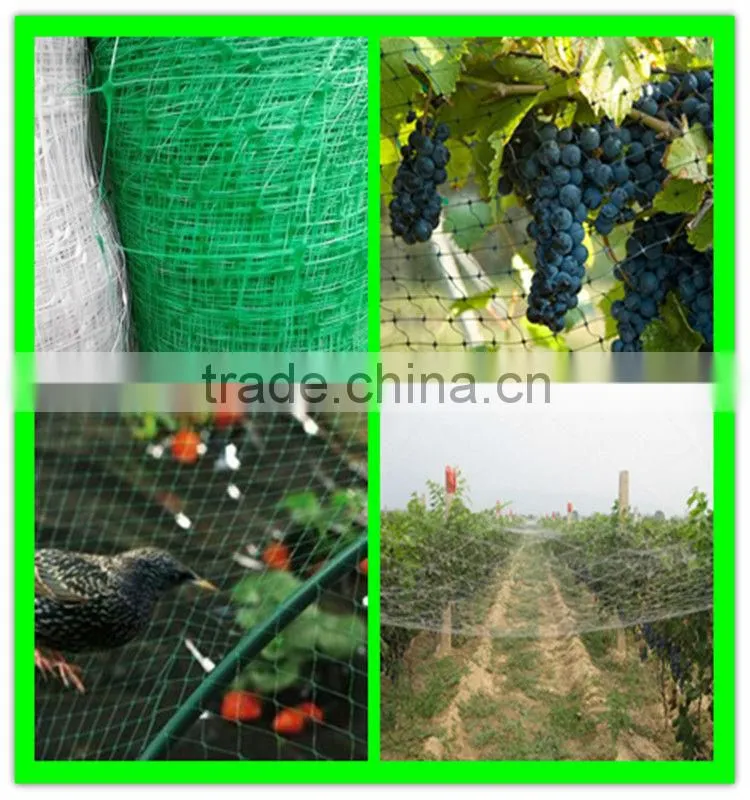 high strength HDPE extruded fruits protective bird netting
