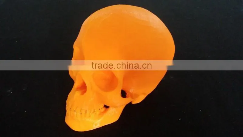 New Automatic Digital 3D Scanner