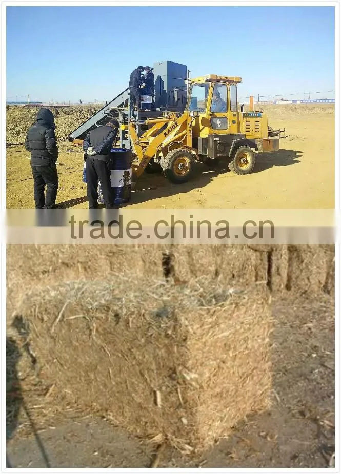 Designer best selling manufacturing machine for rubber band