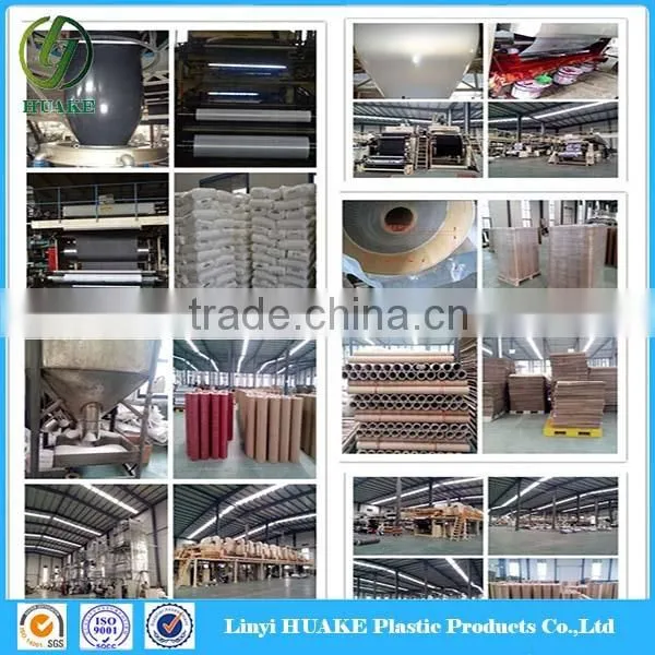 Hot Sale High Temperature Resistance Protective Film