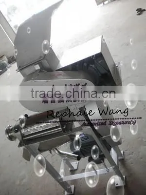 High quality Stainless steel pineapple crushing and juicing machine on sale
