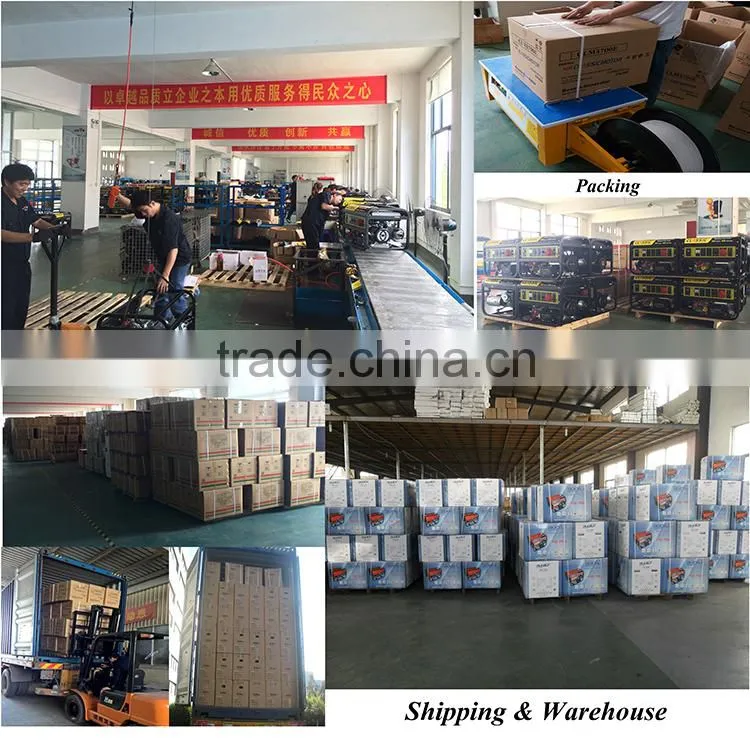 BISON(CHINA) Small 12v DC Gasoline Generator