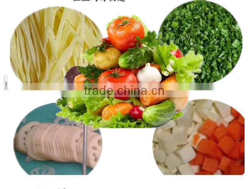 automatic vegetable cutter with high capacity