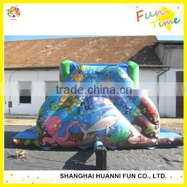 Inflatable Bouncer Slide: Dry Bouncy Slide and Wet Water Slide