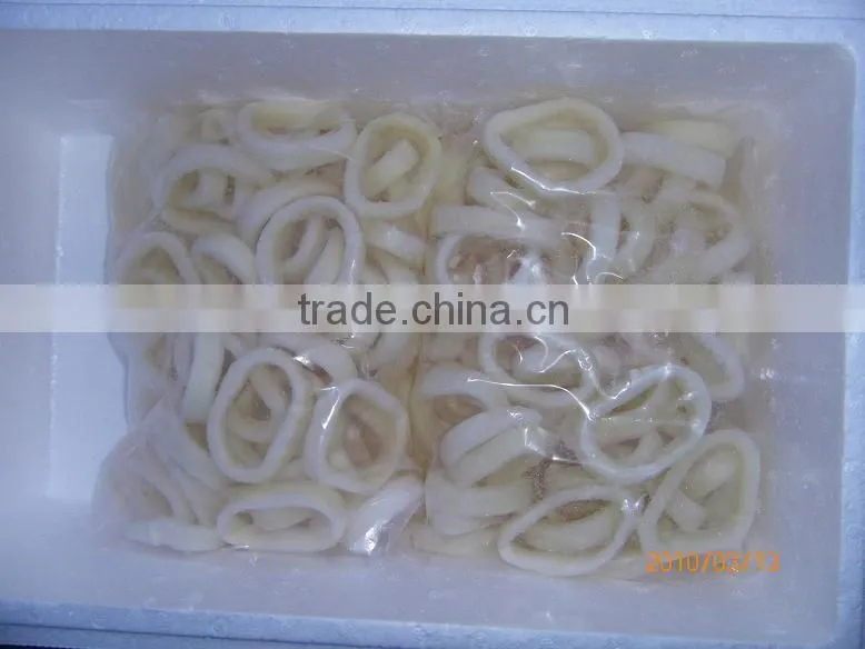 Frozen Squid