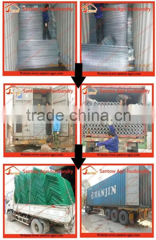 automatic poultry equipments egg layer chicken battery cage
