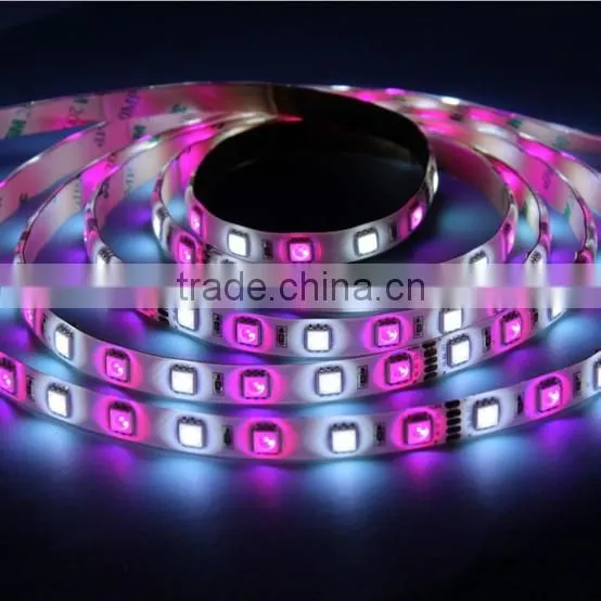 24VDC RGBW Strip Light 5050 LED IP20