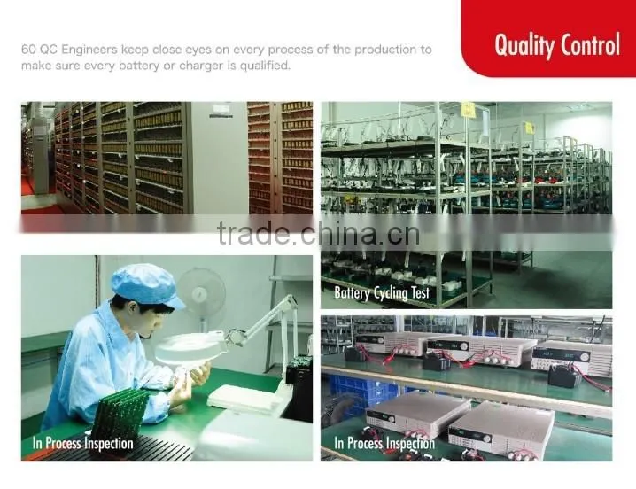 popular deep cycle lafree electric bike battery
