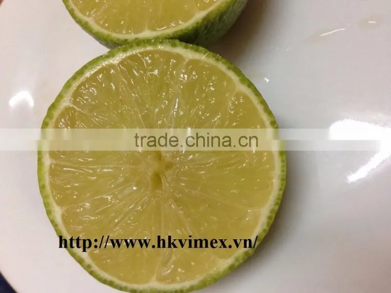 Fresh Lime / Lemon Vietnam