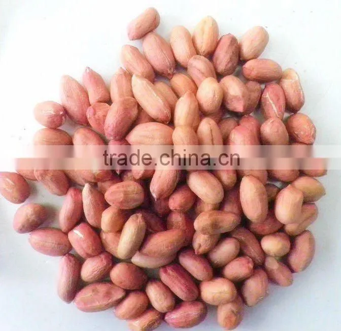 peanut kernels manufacturer in china, blanched and peanut in shell