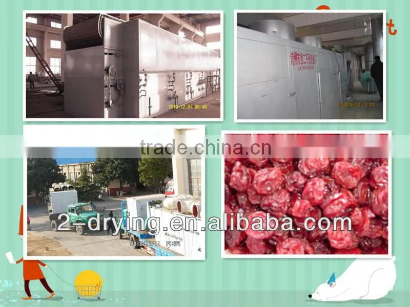 apricot dryer machine