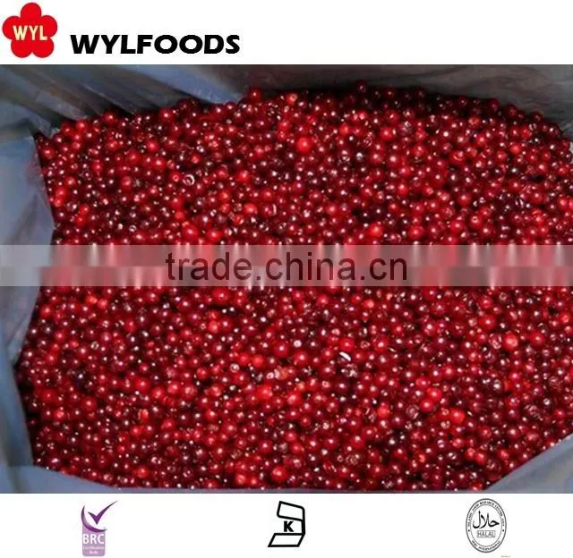 IQF china price for frozen linggonberry hot sales
