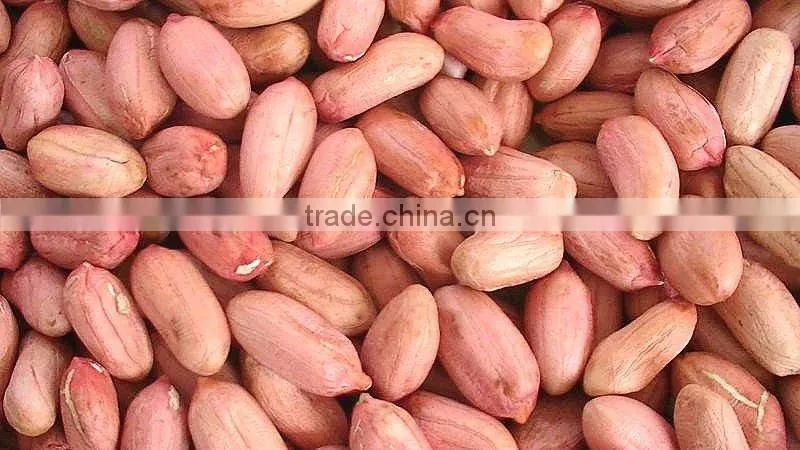 2016 new arrival groundnut blanched peanuts