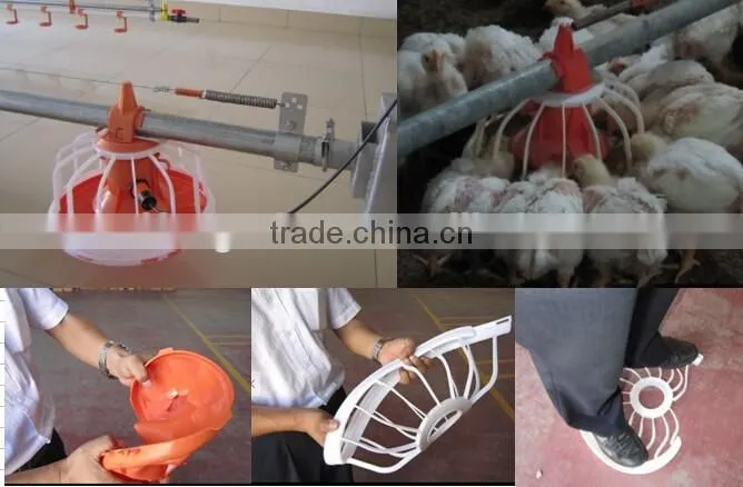 automatic poultry equipment feeder for chicken