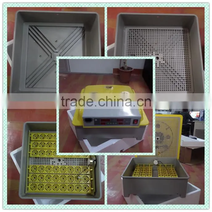 Best selling incubator mini incubator TD-48