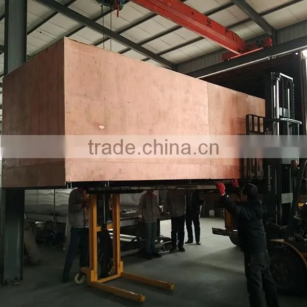 stainless steel fish washing cleaning machine