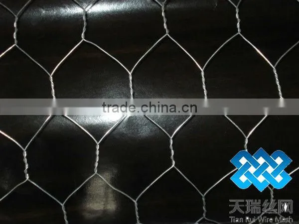 Galvanized and pvc coated Hexagonal Chicken Wire Mesh (Since 1989,ISO)