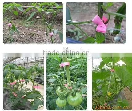 2014 new design grape vine tapetool/tapener