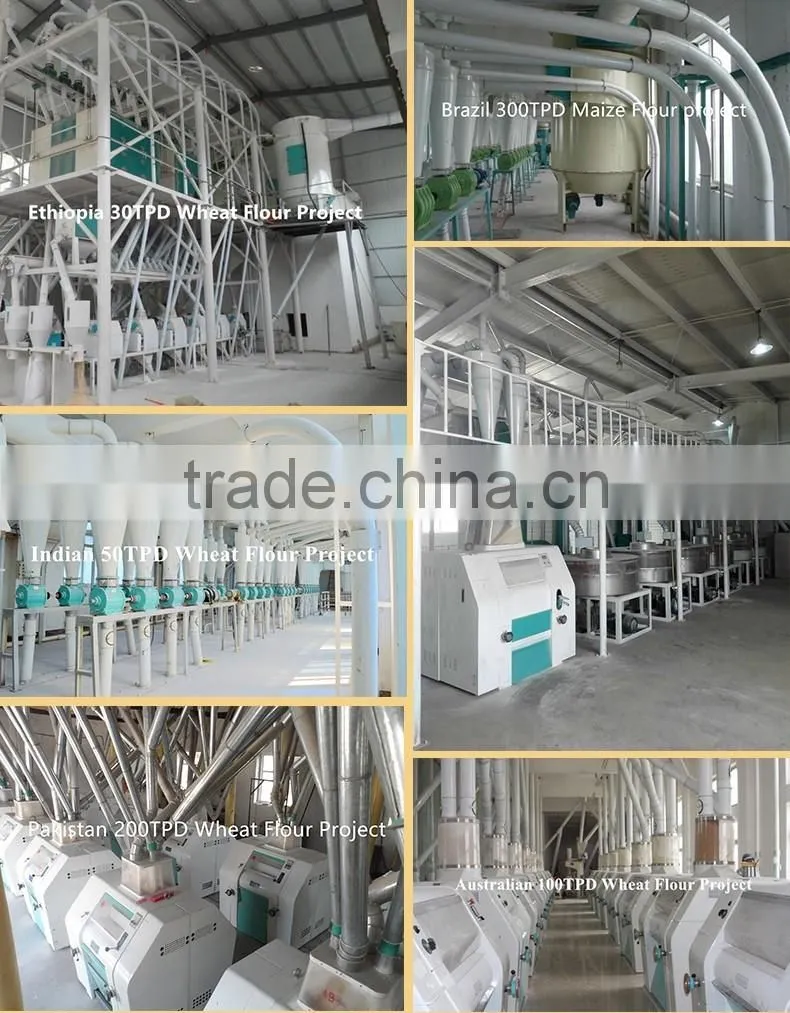 China top brand flour plant manufacturer corn starch making machine