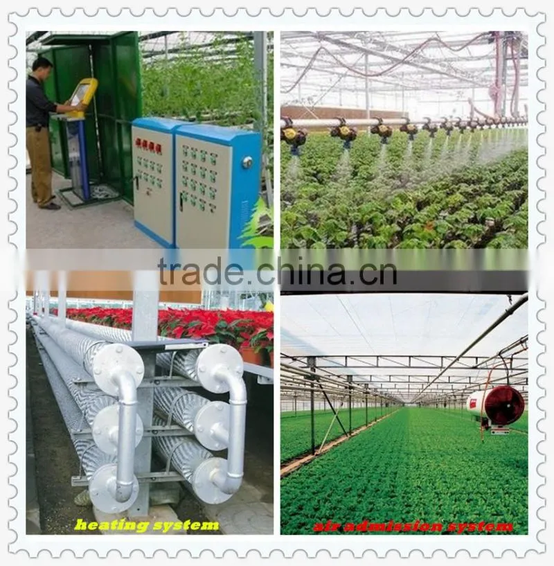 plastic film commercial greenhouse for tomatoes with arched type