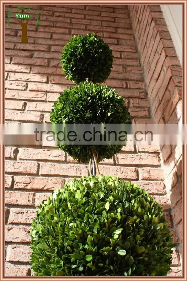 Preserved boxwood triple balls tree topiary