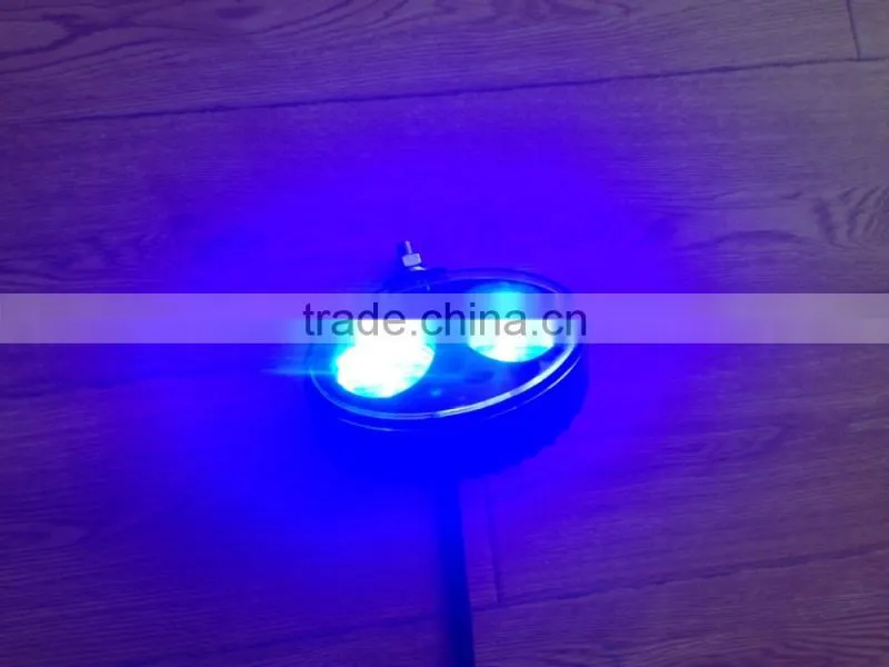 DC 9-80V 800lum High Voltage Blue Forklift Warning Light