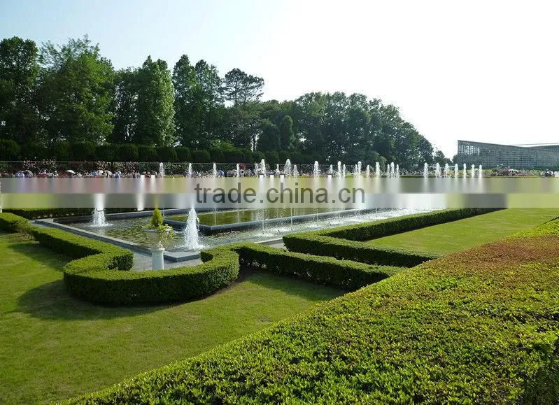 Dancing Fountain Built in Garden