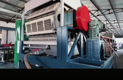 Automatic Egg Tray Egg Carton Production Line