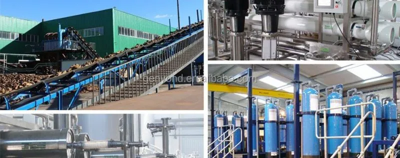 Low Fructose Corn Syrups Processing Plant