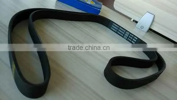 Poly v belt(PJ)